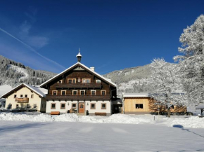 Schüttbachhof Apartments Flachau
